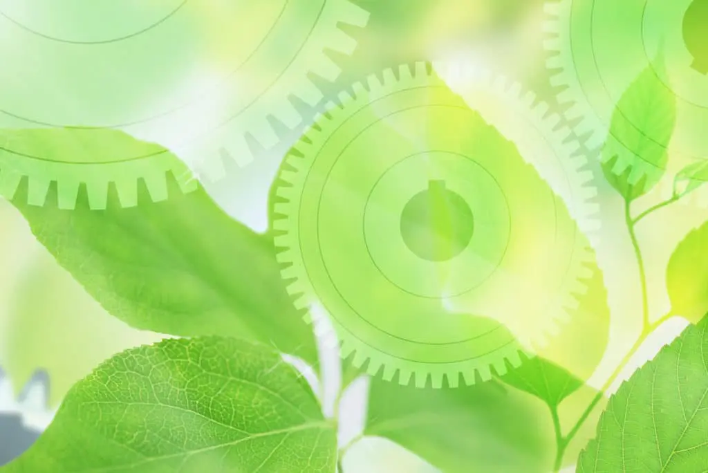 's Environmental Policy Statement