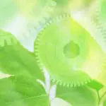 's Environmental Policy Statement